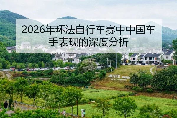 nian-huan-fa-zi-xing-che-sai-zhong-zhong-guo-che-shou-biao-xian-de-shen-du-fen-xi-2-425.jpg