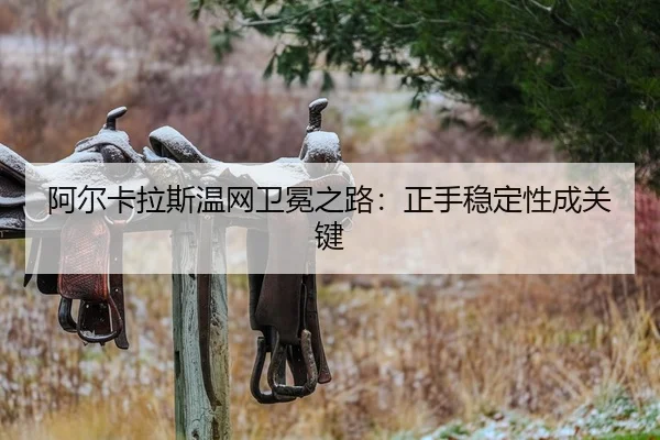 a-er-ka-la-si-wen-wang-wei-mian-zhi-lu-zheng-shou-wen-ding-xing-cheng-guan-jian-2-987.jpg