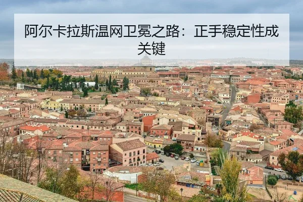 a-er-ka-la-si-wen-wang-wei-mian-zhi-lu-zheng-shou-wen-ding-xing-cheng-guan-jian-3-144.jpg