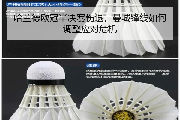 ha-lan-de-ou-guan-ban-jue-sai-shang-tui-man-cheng-feng-xian-ru-he-tiao-zheng-ying-dui-wei-ji-2-522.jpg