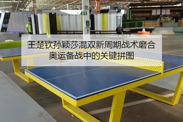 wang-chu-qin-sun-ying-sha-hun-shuang-xin-zhou-qi-zhan-shu-mo-he-ao-yun-bei-zhan-zhong-de-guan-jian-pin-tu-3-397.jpg